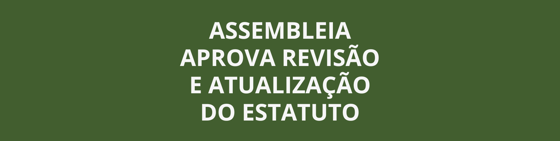Assembleia do Senge-PE aprova atualização do estatuto com avanços importantes na representatividade de gênero